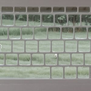 keyboard dogs